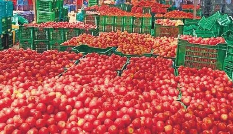 Tomato Rates Drop In Hyderabad