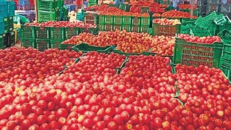 Tomato Rates Drop In Hyderabad