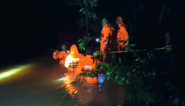 Rains: Eighty tourists rescued from the Mulugu forests