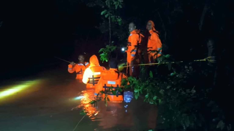 Rains: Eighty tourists rescued from the Mulugu forests