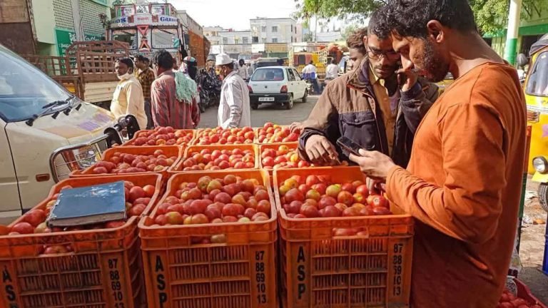 Tomato Rates Continue To Fall Down In Hyderabad: Rs 100 For 2 Kgs On Roads
