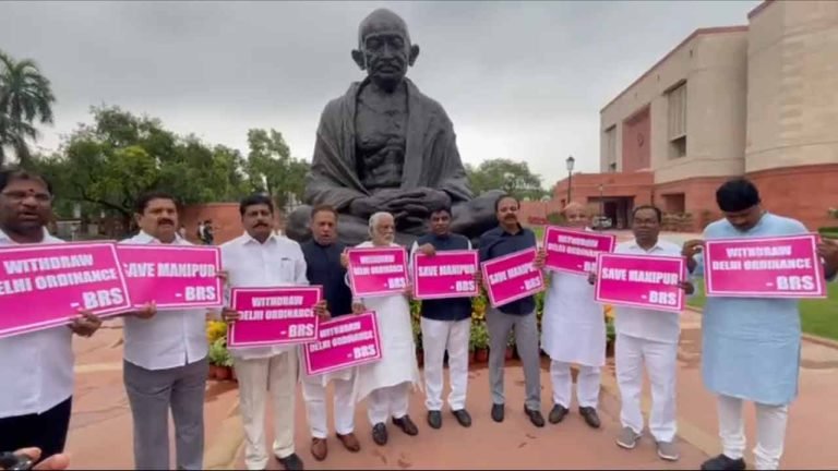 Delhi Ordinance Bill Is Undemocratic: BRS MPs Stage Protest