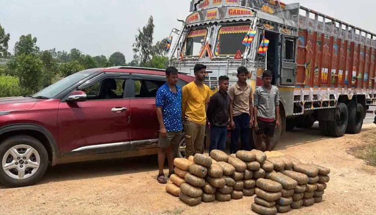 208 Kg Ganja Seized: Gang Arrested