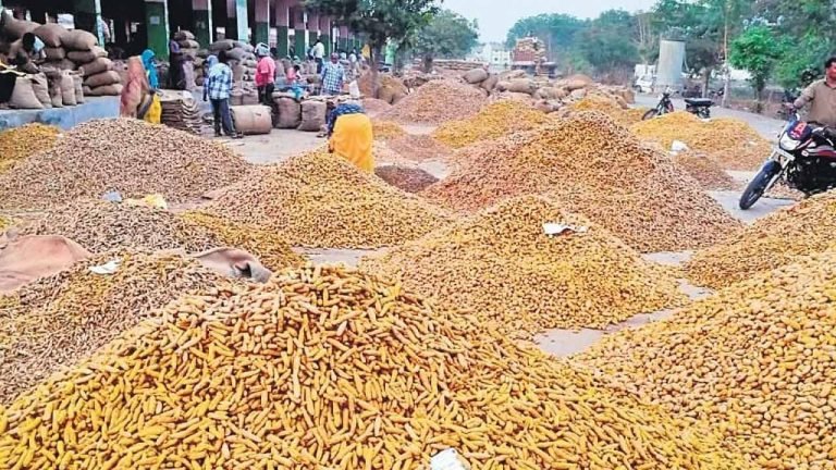 Turmeric Board In Nizamabad Back On The Screen