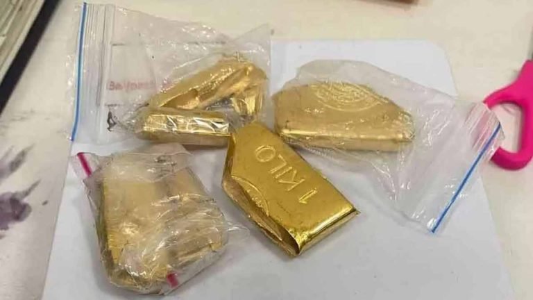 7 Kg Of Gold Seized At Chiragpally