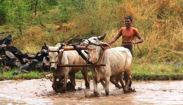 Modi Sarkar To Increase PMKSNS Amount To Farmers From Rs. 6,000 To Rs. 8,000 Per Annum