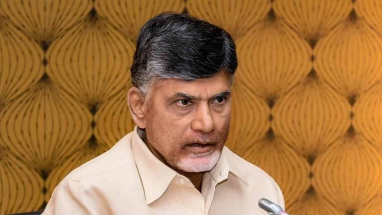 Social Media Ban Under 13? Chandrababu Naidu Speaks