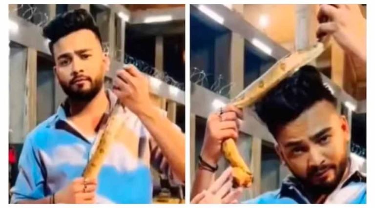 FIR: BB Winner Elvish Yadav For Hosting Rave Parties With The Banned Snake Venom