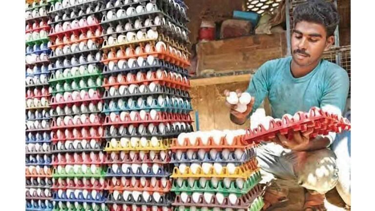 FSSAI Confirms Eggs In India Are Safe, Dispels Nitrofuran Contamination Concerns