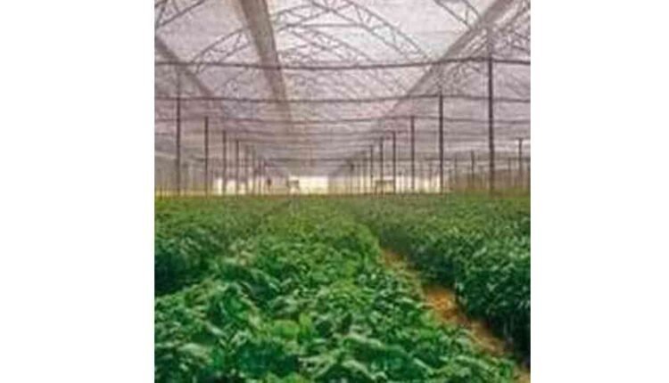 Horticulture Department Invites Enthusiasts To Join Special Training Programs 