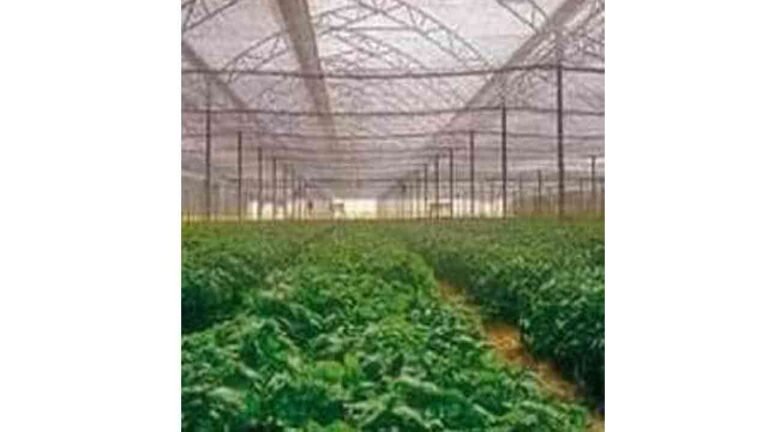 Horticulture Department Invites Enthusiasts To Join Special Training Programs 