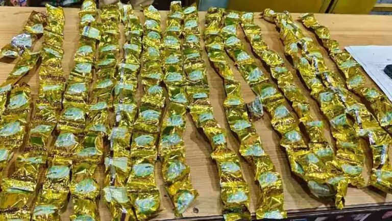 Widespread Raids By Cyberabad SOT, Seized Ganja On A Large Scale