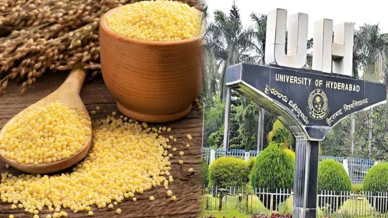 Workshop On Millets At UoH On Feb 16 