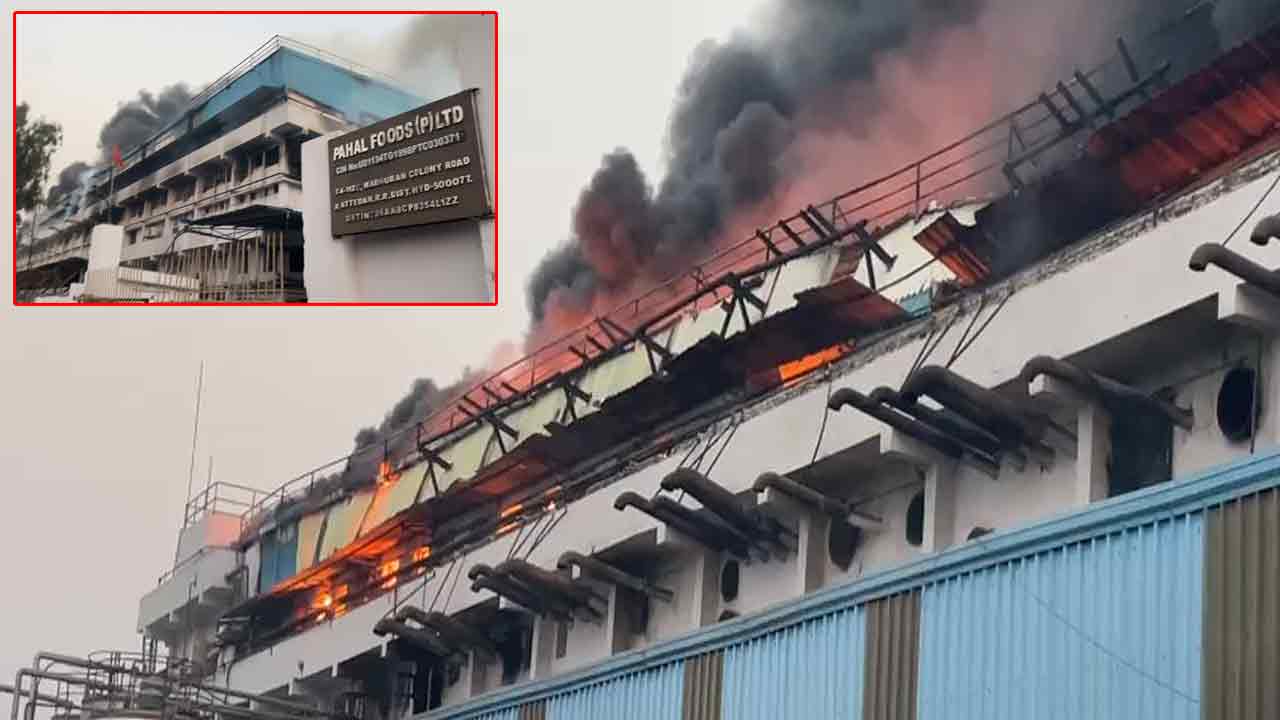 WATCH | Huge Fire Broke Out In Pahal Foods Company