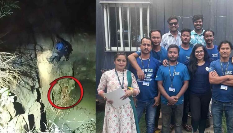 100-Kilometer Journey, 3-Day Ordeal Ends: Hyderabad Youths Rescue Dog