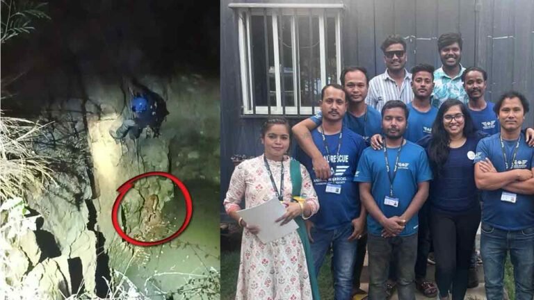 100-Kilometer Journey, 3-Day Ordeal Ends: Hyderabad Youths Rescue Dog