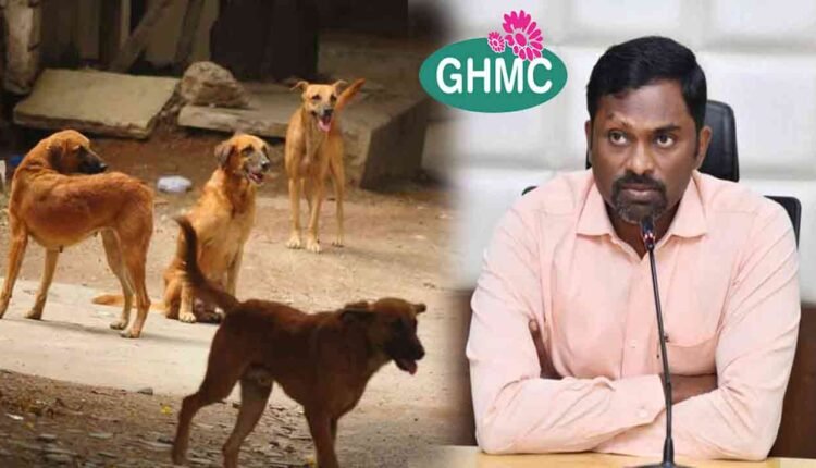 Stray Dog Attacks: GHMC Takes Strong Action