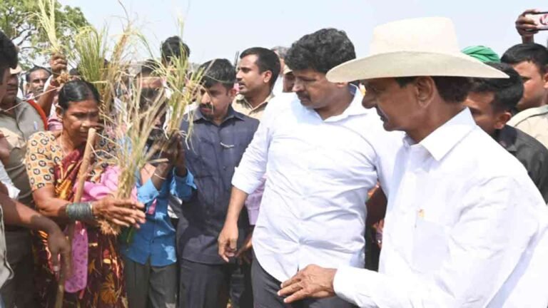 KCR inspected the dry crop fields in Janagama, Suryapet, and Nalgonda