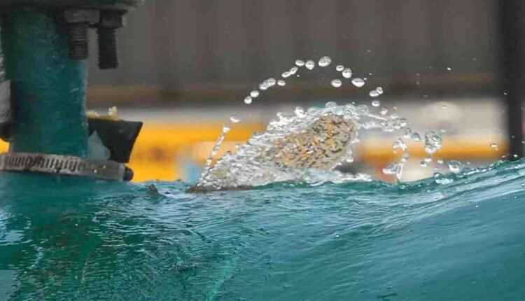 Hyderabad Water Officials Assure Ample Reserves to Quench City's Thirst