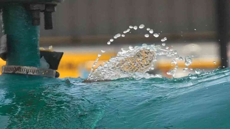 Hyderabad Water Officials Assure Ample Reserves to Quench City's Thirst