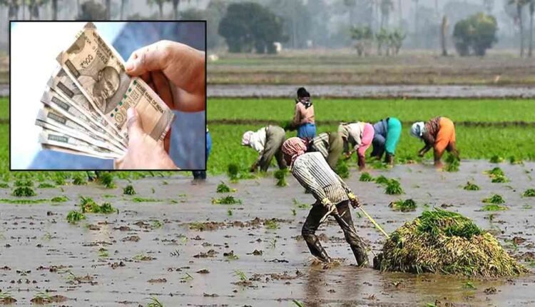 Election Commission Green Signal For Crop Damage Compensation