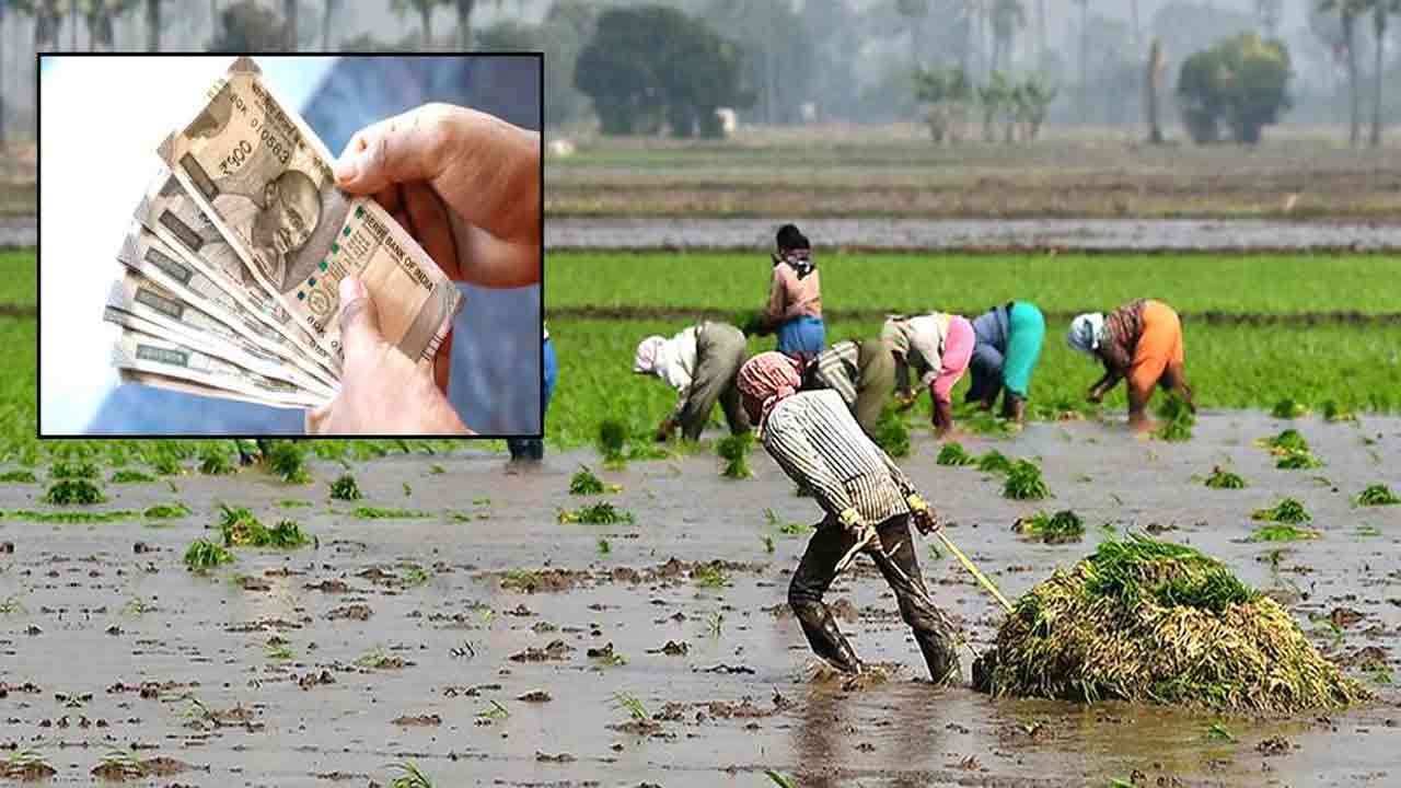 Election Commission Green Signal For Crop Damage Compensation