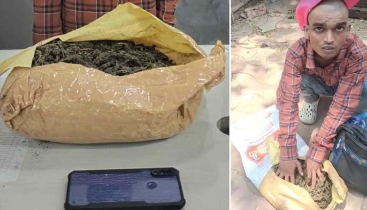 Cyberabad SOT Police Seized 2.3 Kg Of Ganja