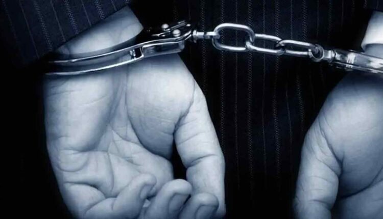 Asifabad Treasure Hunt: Eight-Member Gang Arrested, Forest Habitat Damaged