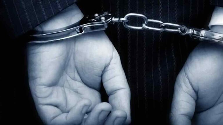 Asifabad Treasure Hunt: Eight-Member Gang Arrested, Forest Habitat Damaged