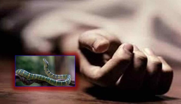 Another Gurukul Student Hospitalised After Snake Bite: Harish Rao Blames Revanth Govt.