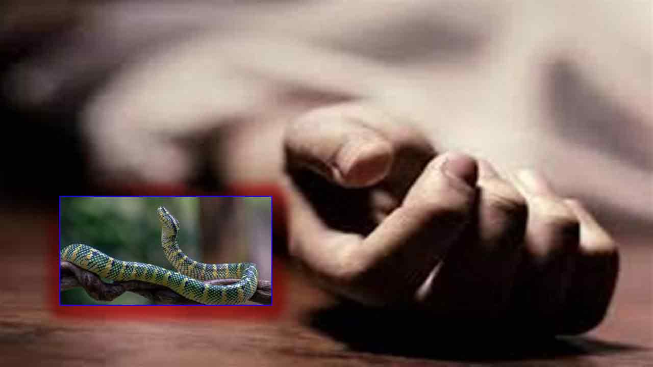 A Teenager Died Of Snake Bite 