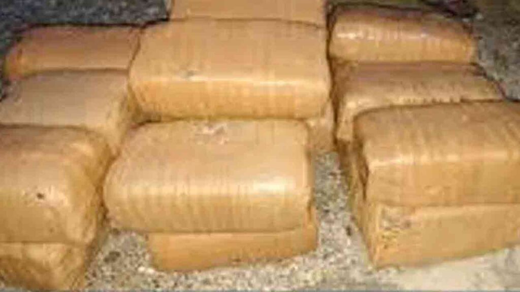 228 Kg Of Ganja Worth Rs 66 Lakh Seized In Bhadradri Kothagudem Indtoday