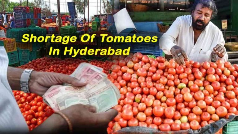 Shortage Of Tomatoes In Hyderabad: Commodity Reduced By Half