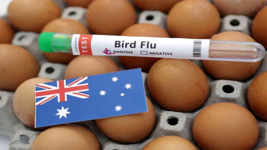 Bird Flu Case From India To Australia: WHO