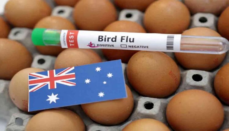 Bird Flu Case From India To Australia: WHO