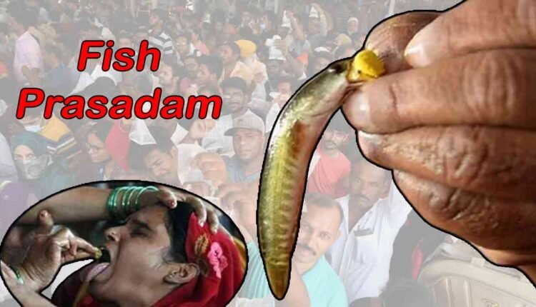 Thousands Of People Gather At Nampally Exhibition Grounds For Fish Prasadam 