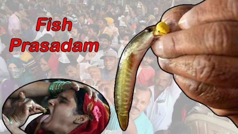 Thousands Of People Gather At Nampally Exhibition Grounds For Fish Prasadam 