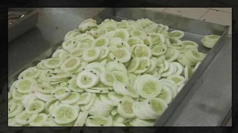 Video Shows IIIT Hyderabad Serving Food With Cockroaches And Flies