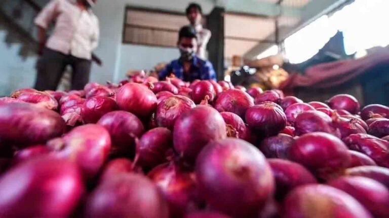 Onion Rates Plummet To Rs. 600 Per Quintal, Farmers Resort To Distress Sale In Telangana