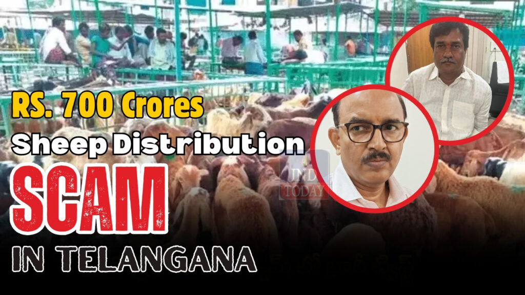 Rs. 700 Cr Scam In Sheep Distribution Scheme: ACB's Investigation Reveals