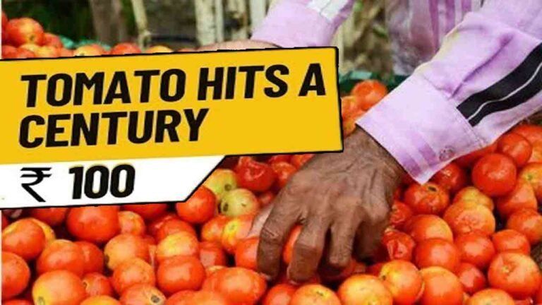 Tomato Hit Century In Telangana