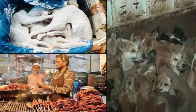 14 Tonnes Of Dog Meat Caught In Karnataka: Meat Dhanda Running By Abdul Razak 