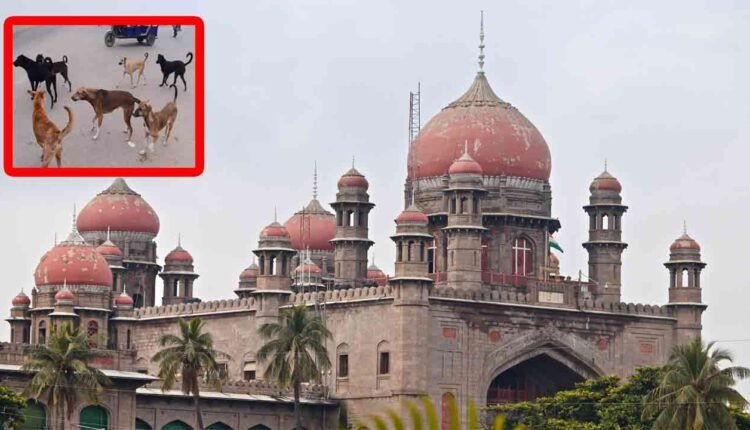 HC Serious On Govt On Stray Dog Attack Incidents