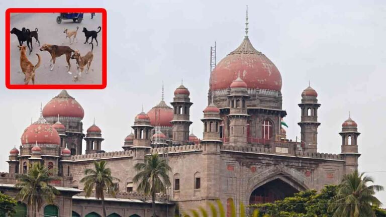HC Serious On Govt On Stray Dog Attack Incidents