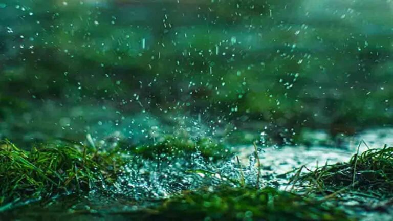 Telangana Rain Forecast: Light to Moderate Showers Likely