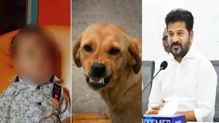 18 Months Old Boy Mauled to Death By Stray Dogs In Hyderabad: CM Key Orders