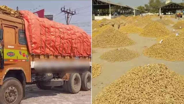 Telangana: A Gang Posing As RTA Officials Loot A Turmeric Load Truck 