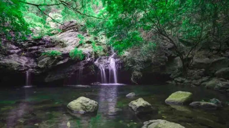 Monsoon Getaways from Hyderabad