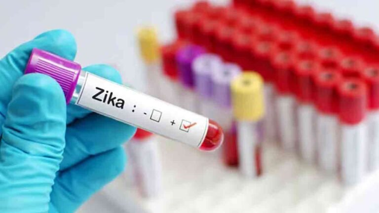 Zika Virus Outbreak Alert: All States, Including Telangana, Notified!