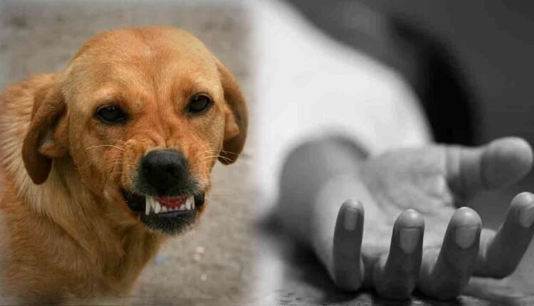 Three-Year-Old Boy Died After Dog Bite In Jagtial